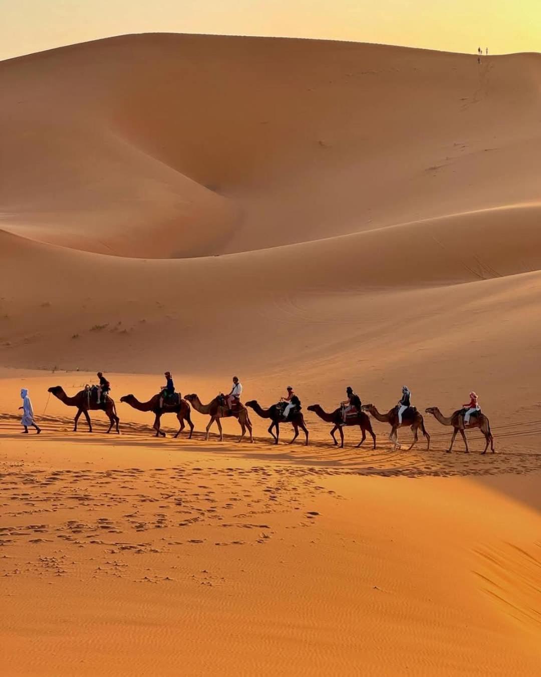 Hammadi Desert Camp Merzouga Ngoại thất bức ảnh